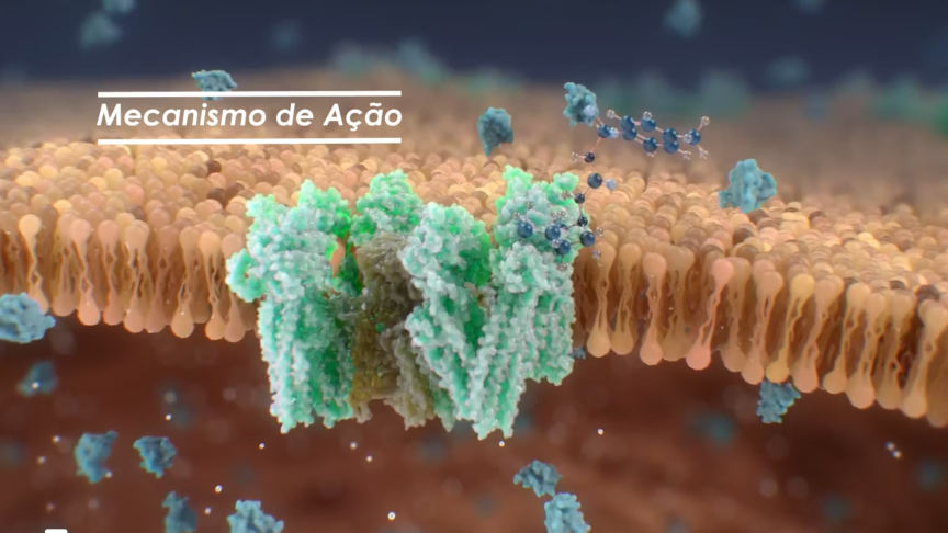 VÍDEO | Mecanismo de Ação Gliclazida